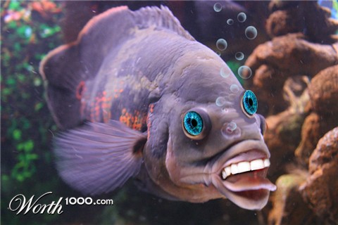 Photoshop Design by kwize53