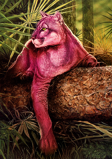 Photoshop-Design von Petrosini für DesignCrowd (Community Contests) | Design #8945315