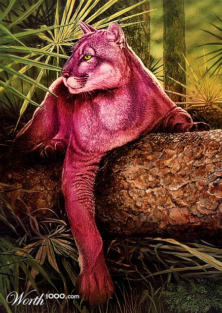 Photoshop Design by Petrosini