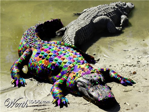Photoshop Design by markquimby82