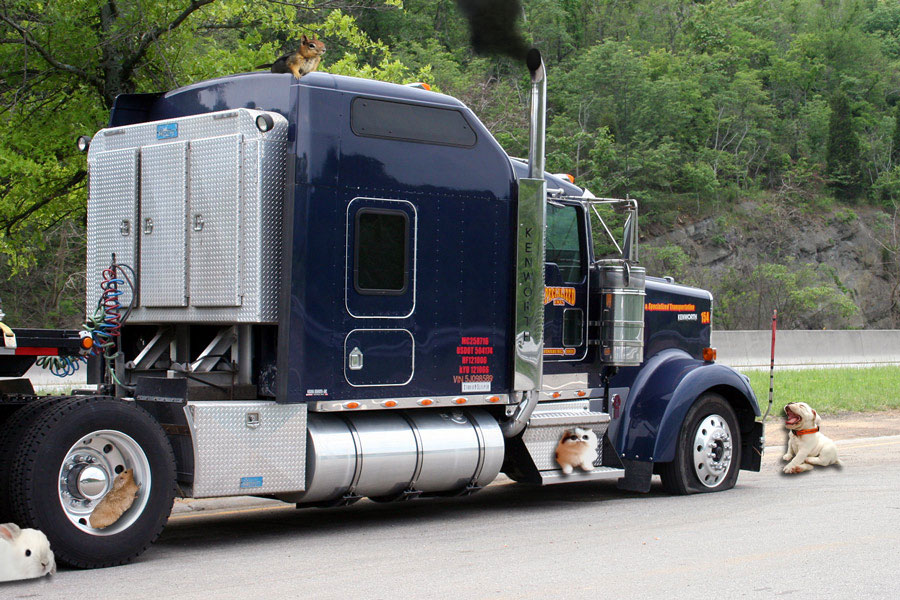 Design Photoshop par DrRobot pour DesignCrowd (Community Contests) | Design #8950743