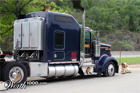 Photoshop Design by DrRobot