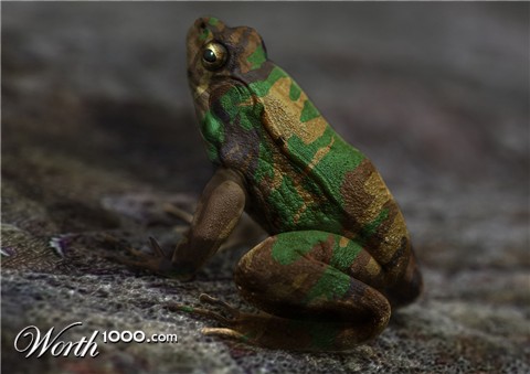 Photoshop Design by stylezz1