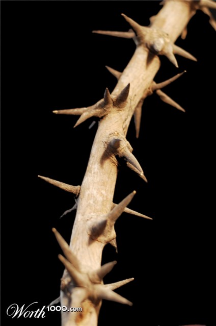 Photography by jhloa2