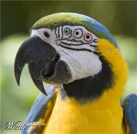 Photoshop Design by urich