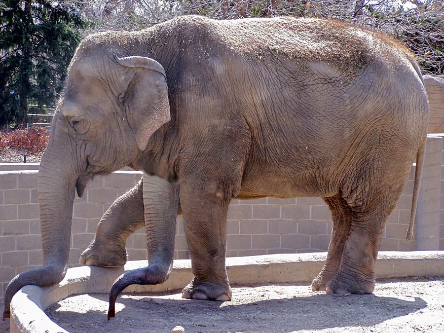 Photoshop Design by GenaAllen for DesignCrowd (Community Contests) | Design #8950995