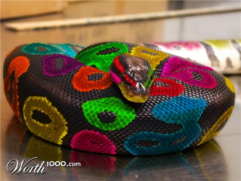 Photoshop design by CDumais for DesignCrowd (Community Contests)