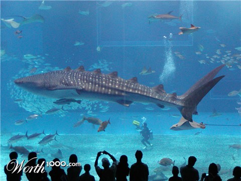 Photoshop Design by userkuba