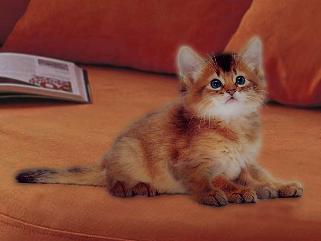 Photoshop Design by franor22 for DesignCrowd (Community Contests) | Design #8951053