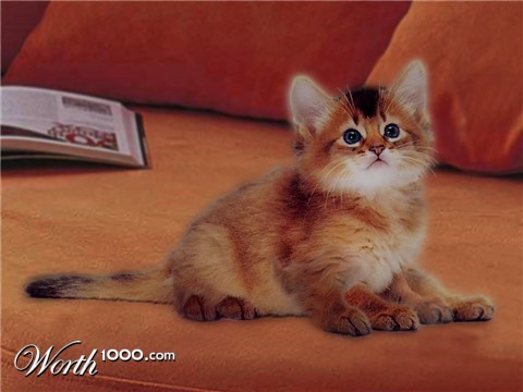 Photoshop Design by franor22