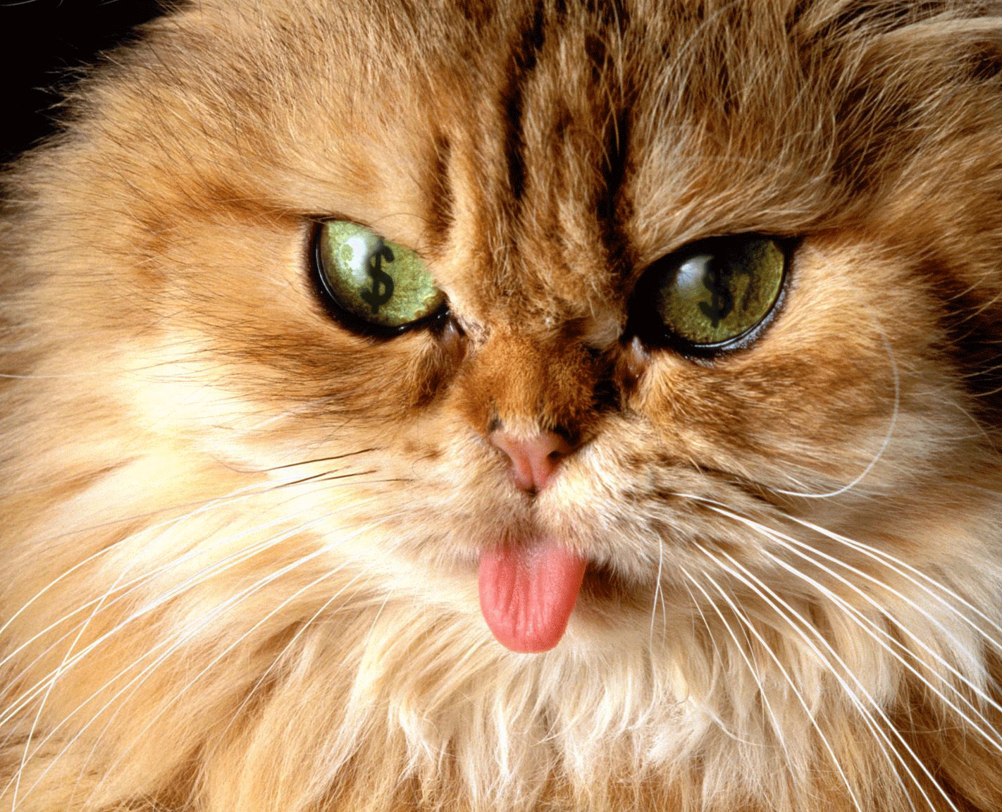 Design Photoshop par emdaza pour DesignCrowd (Community Contests) | Design #8952485