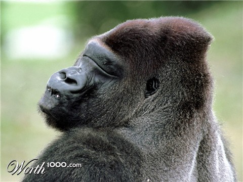 Photoshop Design by otavioliborio