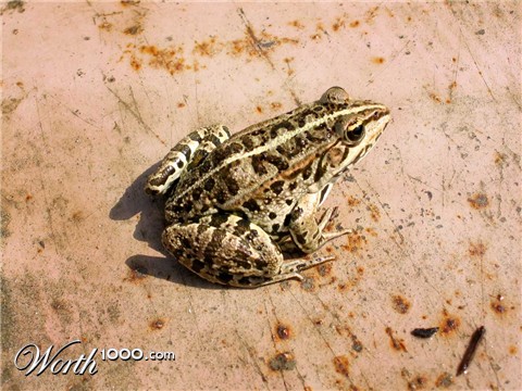 Photoshop Design by wanderc8