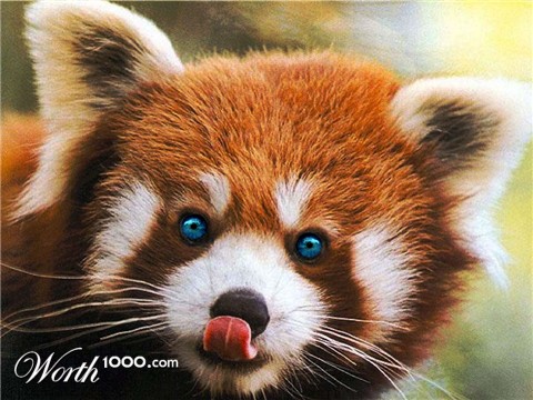 Photoshop Design by Rubees