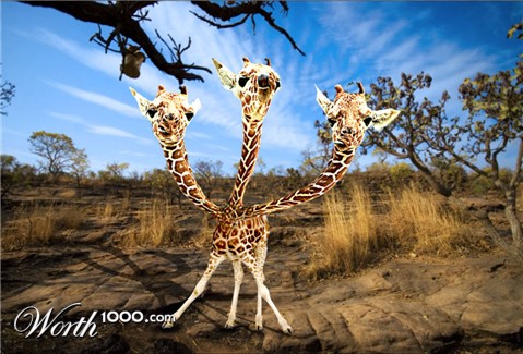 Photoshop Design by psych0tina