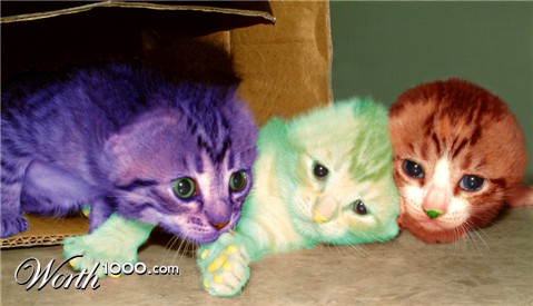 Photoshop Design by kkasscarm