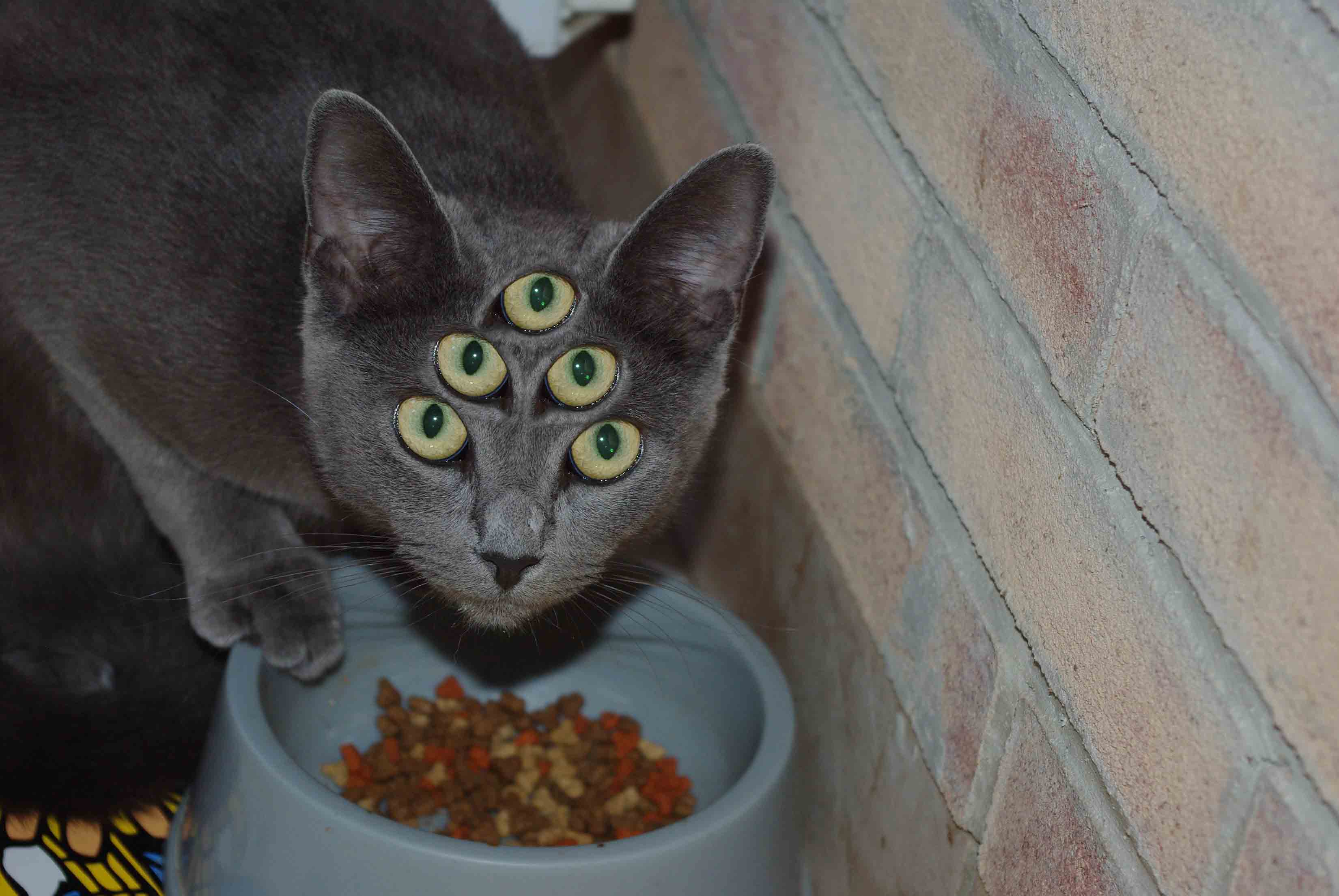 Diseño de Photoshop por kida13 para DesignCrowd (Community Contests) | Diseño #8951166