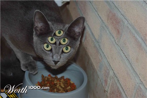 Photoshop Design by kida13