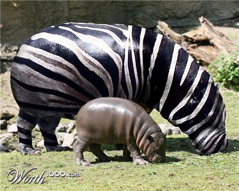 Photoshop Design by PixelTestMT