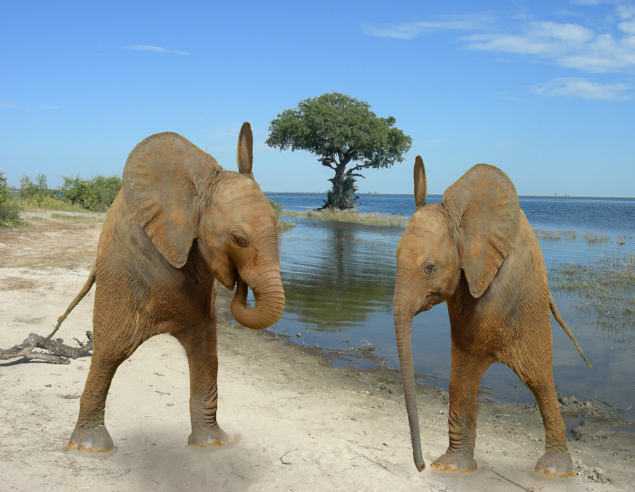 Photoshop Design by snakebit for DesignCrowd (Community Contests) | Design #8951162