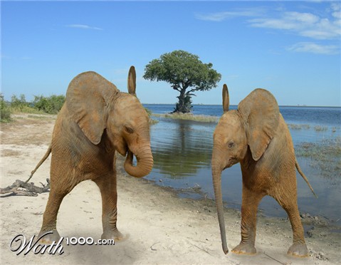 Photoshop Design by snakebit