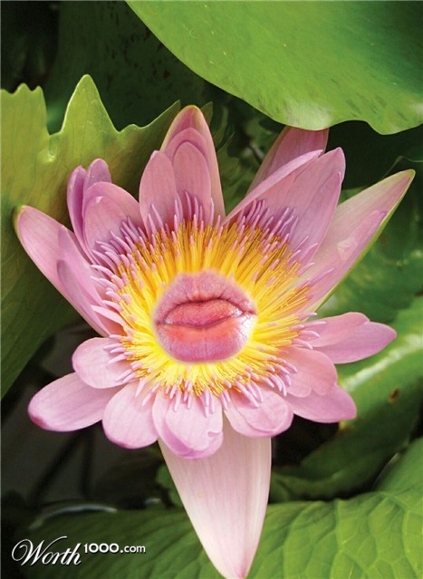 Photoshop Design by GeshaR