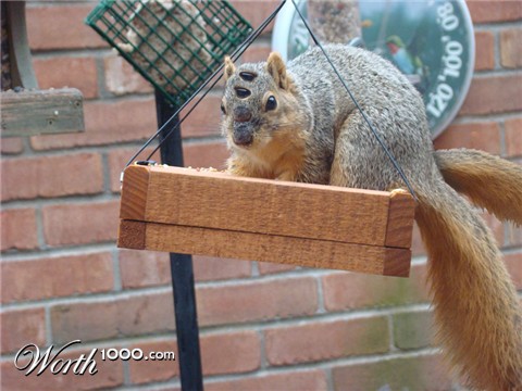 Photoshop Design by janefrog