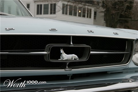 Photoshop Design by snakebit