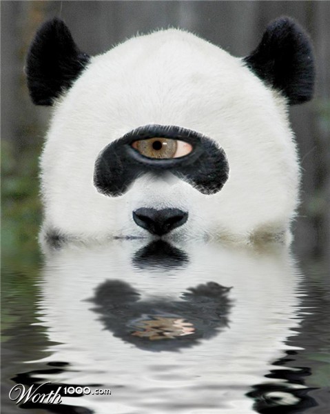 Photoshop Design by LiquidG0ld