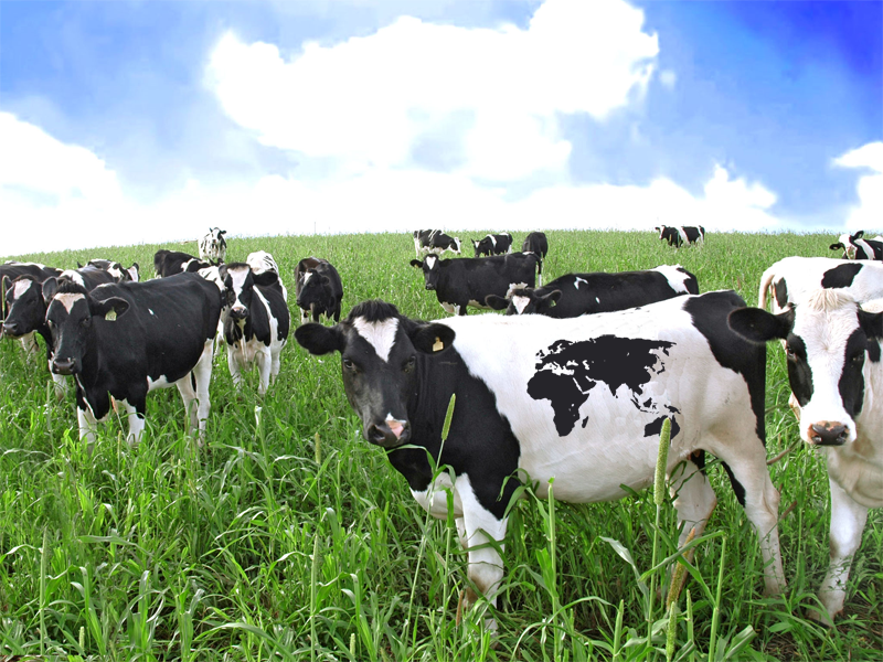 Diseño de Photoshop por jaduff para DesignCrowd (Community Contests) | Diseño #8952685