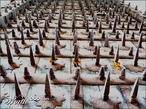 Photography by sgatanstu