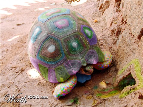 Photoshop Design by 1passible