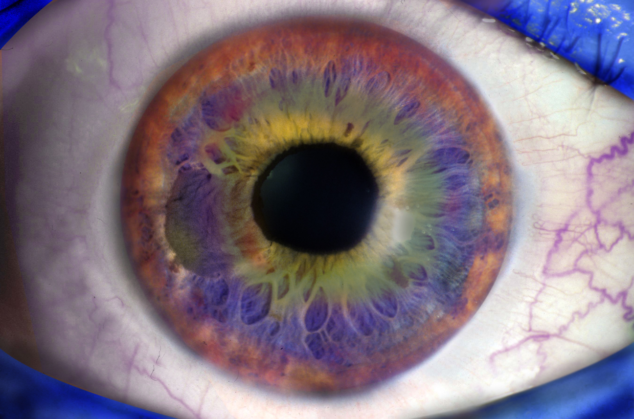 Design Photoshop par EKelman pour DesignCrowd (Community Contests) | Design #8945500