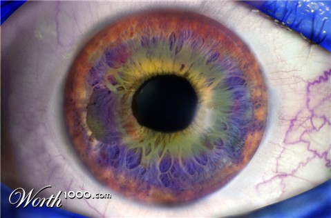 Photoshop Design by EKelman