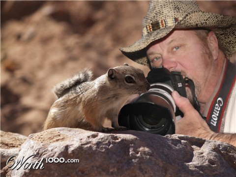 Photoshop Design by Laredog