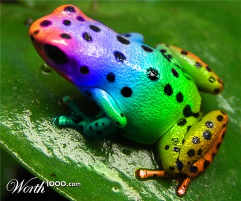 Photoshop Design by catfish08