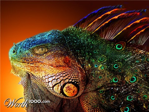 Photoshop Design by tsitrA