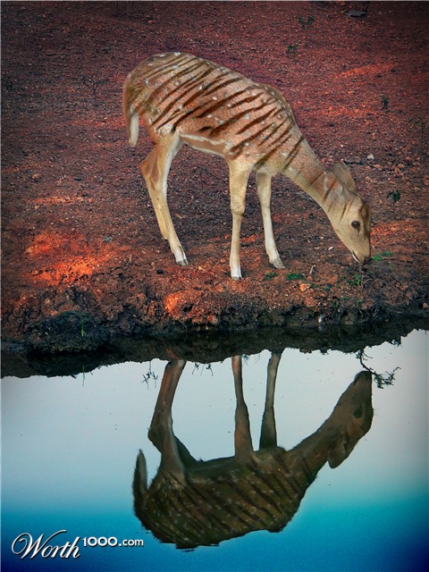 Photoshop Design by mediagraphik