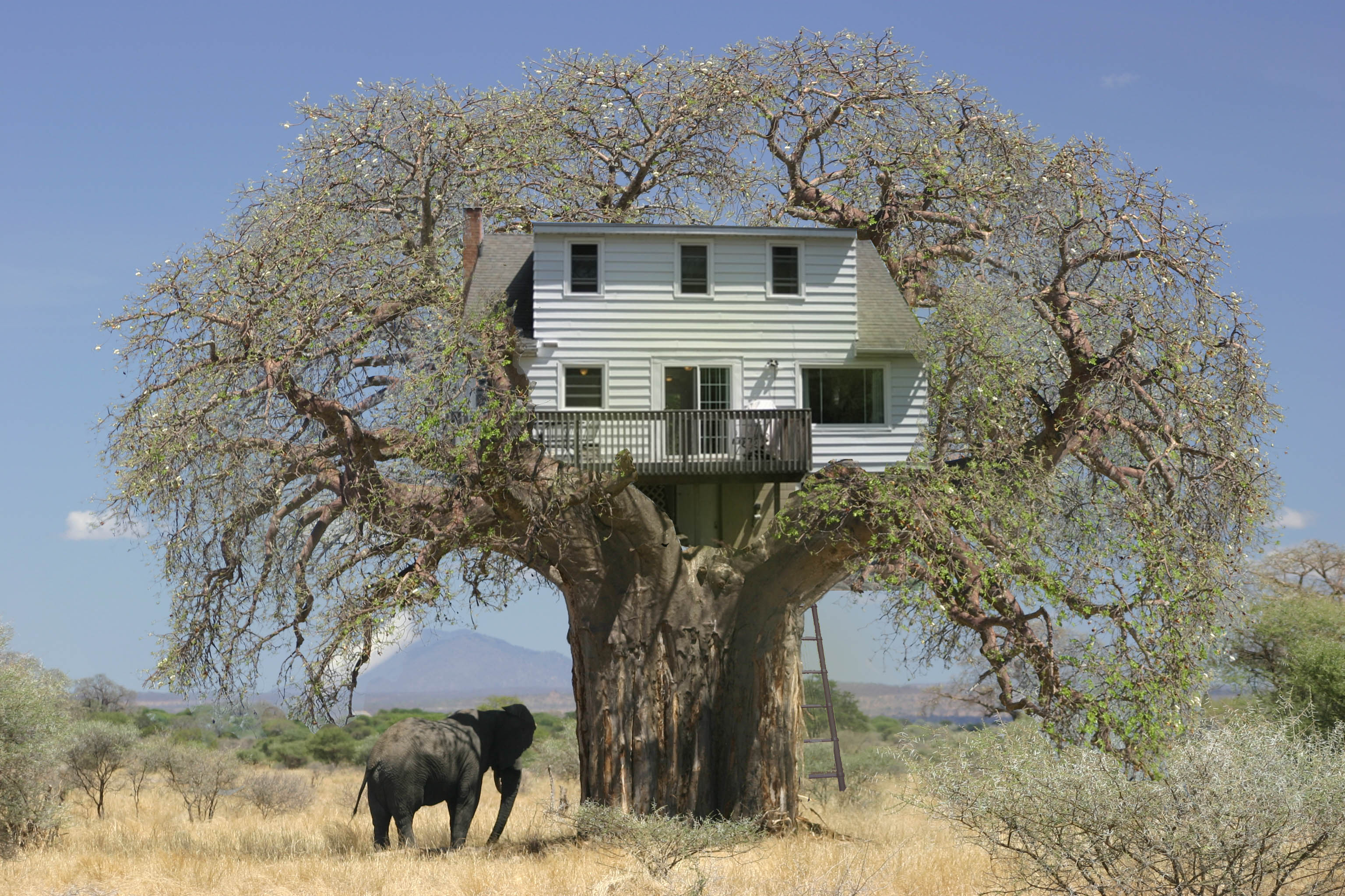 Photoshop-Design von userkuba für DesignCrowd (Community Contests) | Design #8954881