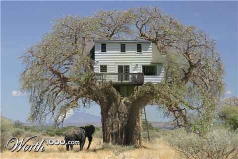 Photoshop Design by userkuba