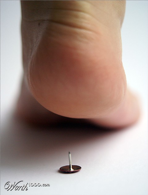 Photography by JANIELLE