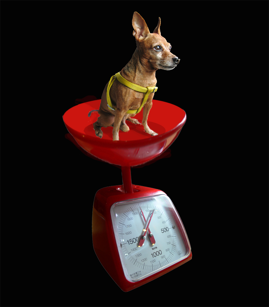 Photoshop-Design von kwize53 für DesignCrowd (Community Contests) | Design #8949990