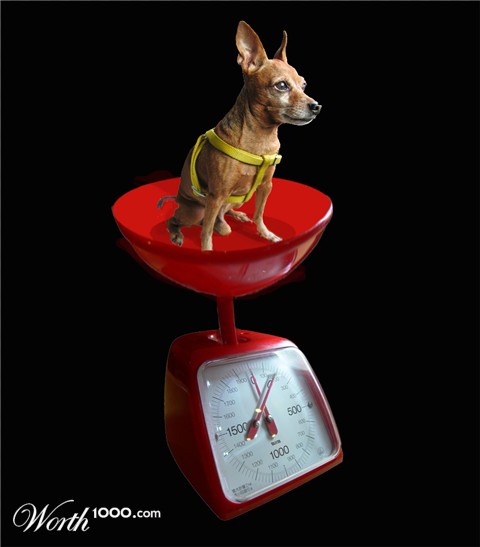 Photoshop Design by kwize53