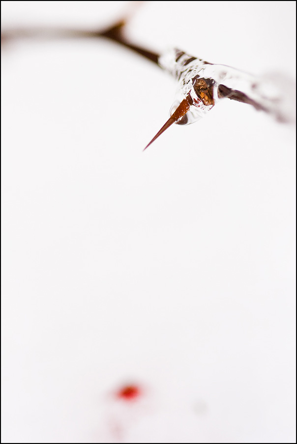 Photographie par suram8456 pour DesignCrowd (Community Contests) | Design #8950333