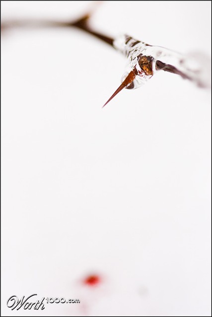 Photography by suram8456