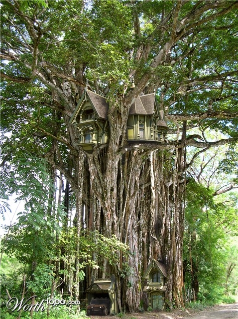 Photoshop design by TeMo80 for DesignCrowd (Community Contests)