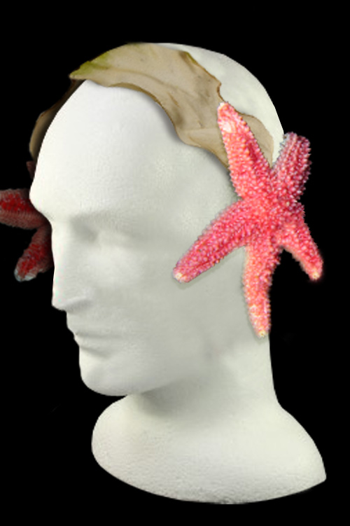 Design Photoshop par stormr pour DesignCrowd (Community Contests) | Design #8950027