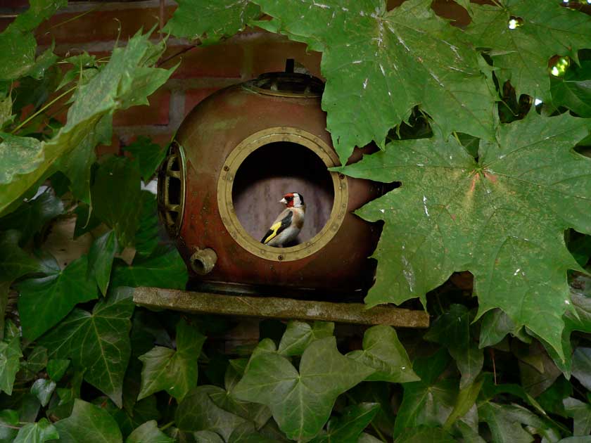 Photoshop Design by wanderc8 for DesignCrowd (Community Contests) | Design #8950063