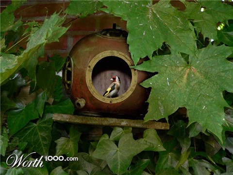 Photoshop Design by wanderc8