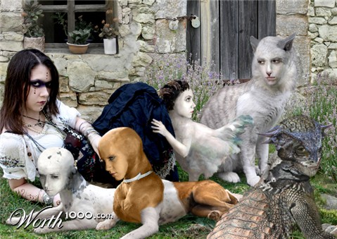 Photoshop Design by Painted Dog